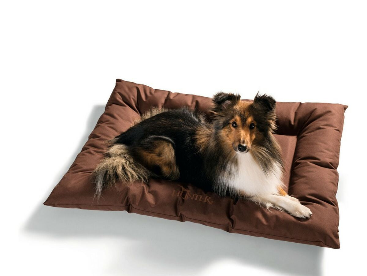 V11HF9B95F4CE866E65EA10B456C849F3C19R4458070P2