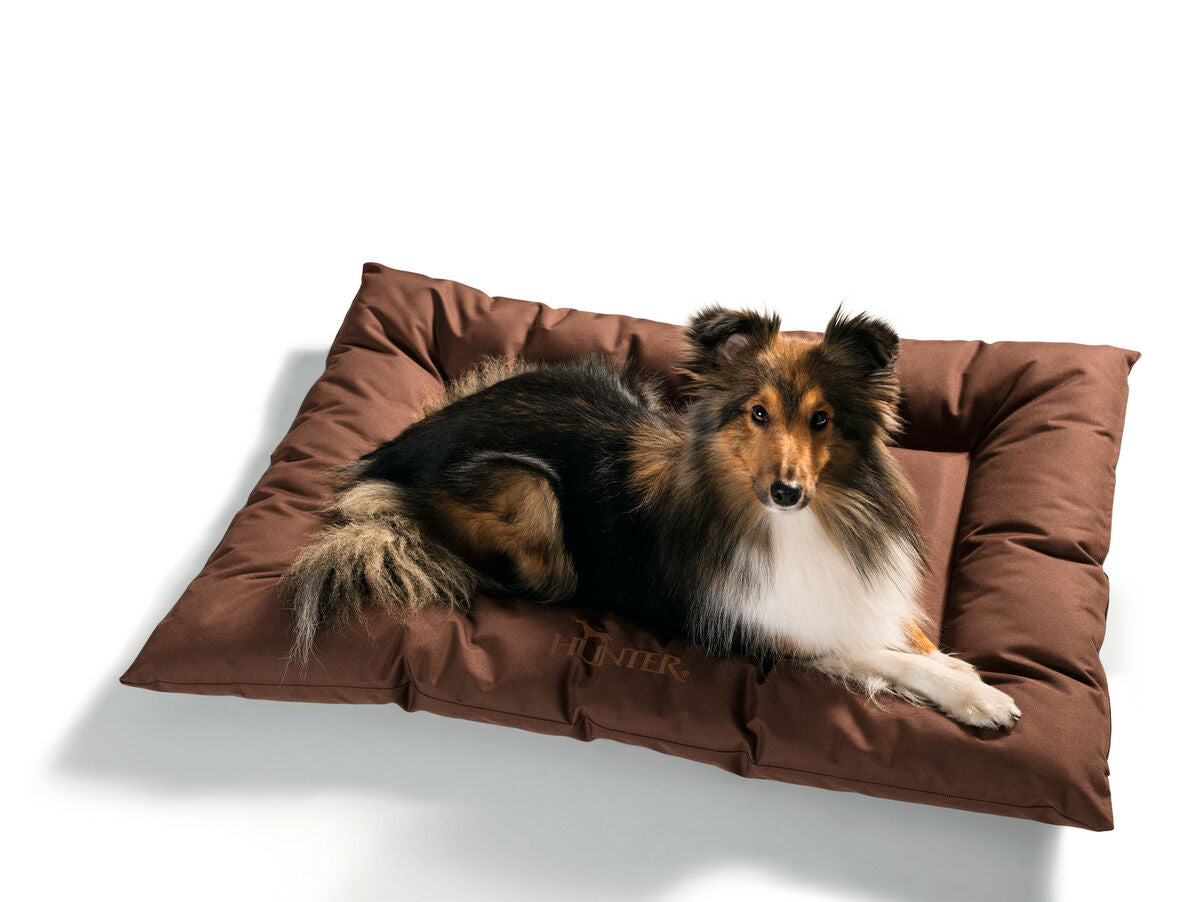 V7H8497772F9732CBACDFD38A80418B71B5R3709369P1