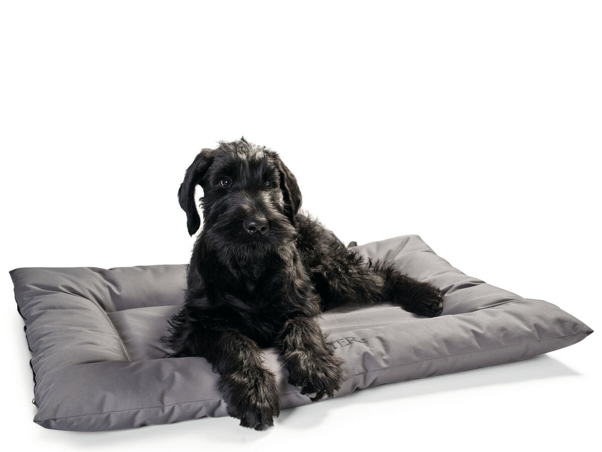 V6HAA831B42B16006255A45A96AE17C2553R5343455P4