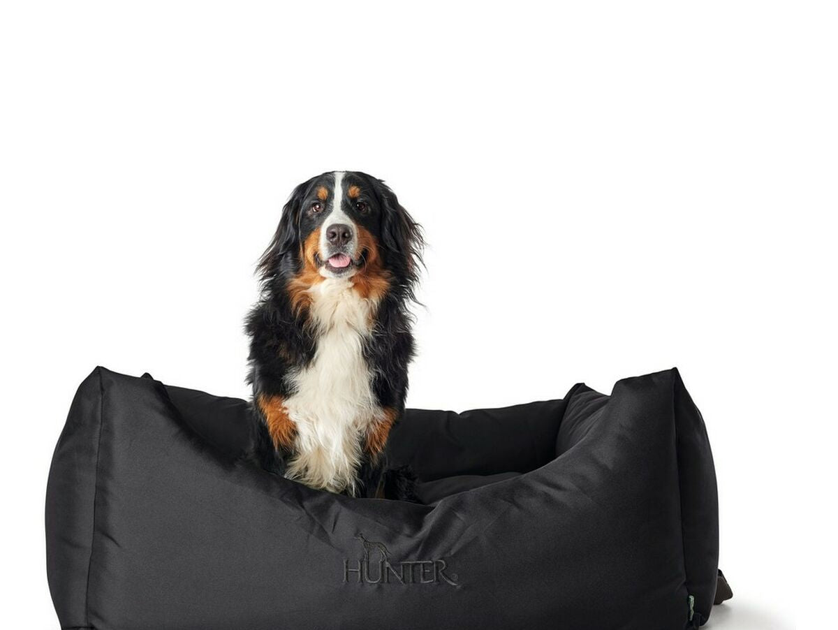 V12HECC6FC66D6659570C597E58BA4C2CB05R3618514P7