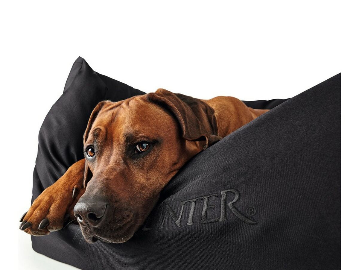 V12HE9F97060B2CA3ABEDE11C00FF3BA6974R3618518P3