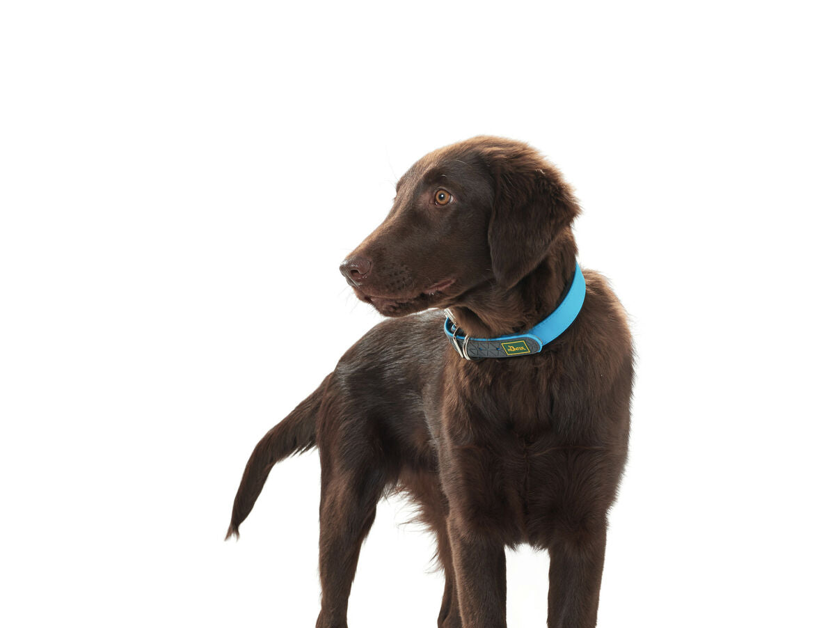 V10H2864F42179359D985741E308F3FDFF50R4176530P3