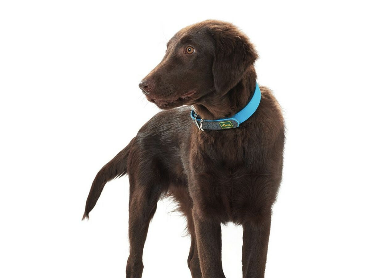 V10H42AA9922609C24F98E075854A05A025FR3618399P3