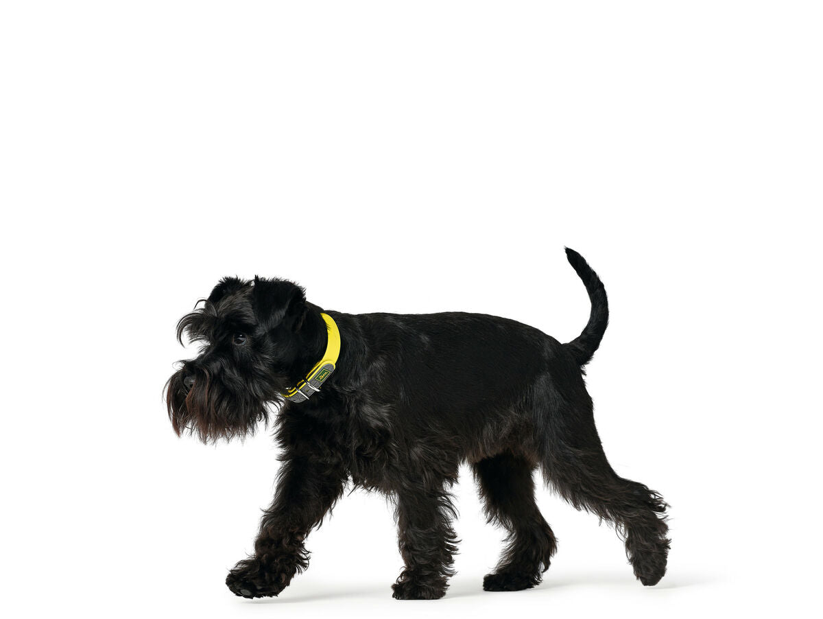 V7H681C6F944603274FA9153C6B18FFC98BR3622784P3