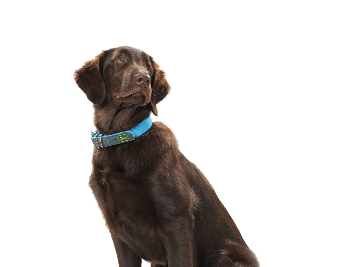 V8H85F1B2281EF9CA3B3A65AE7E3E7F25E2R3622800P3