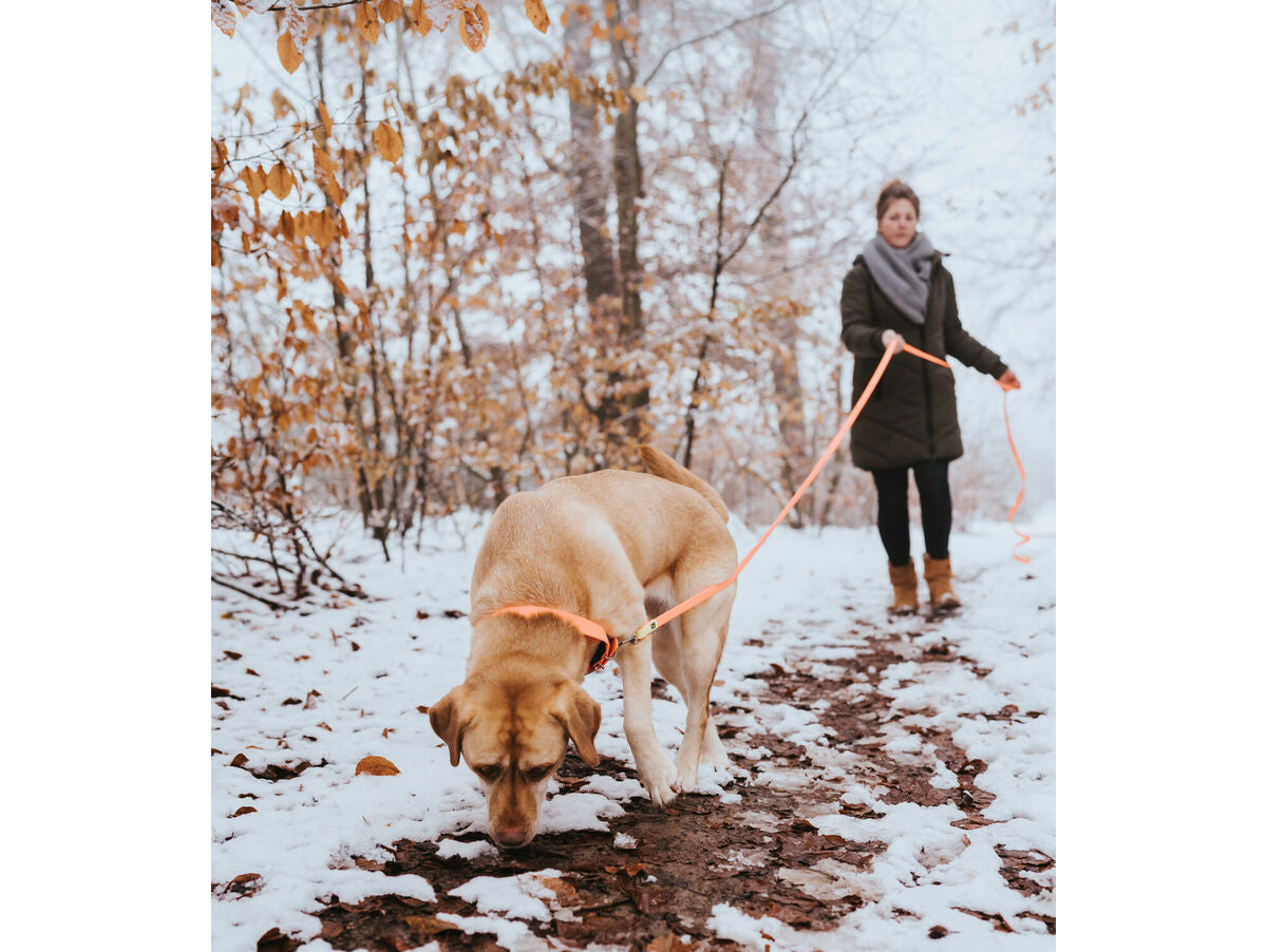 V8HA117C9F8752E131E9DEBA2452AABBA6AR3622771P3