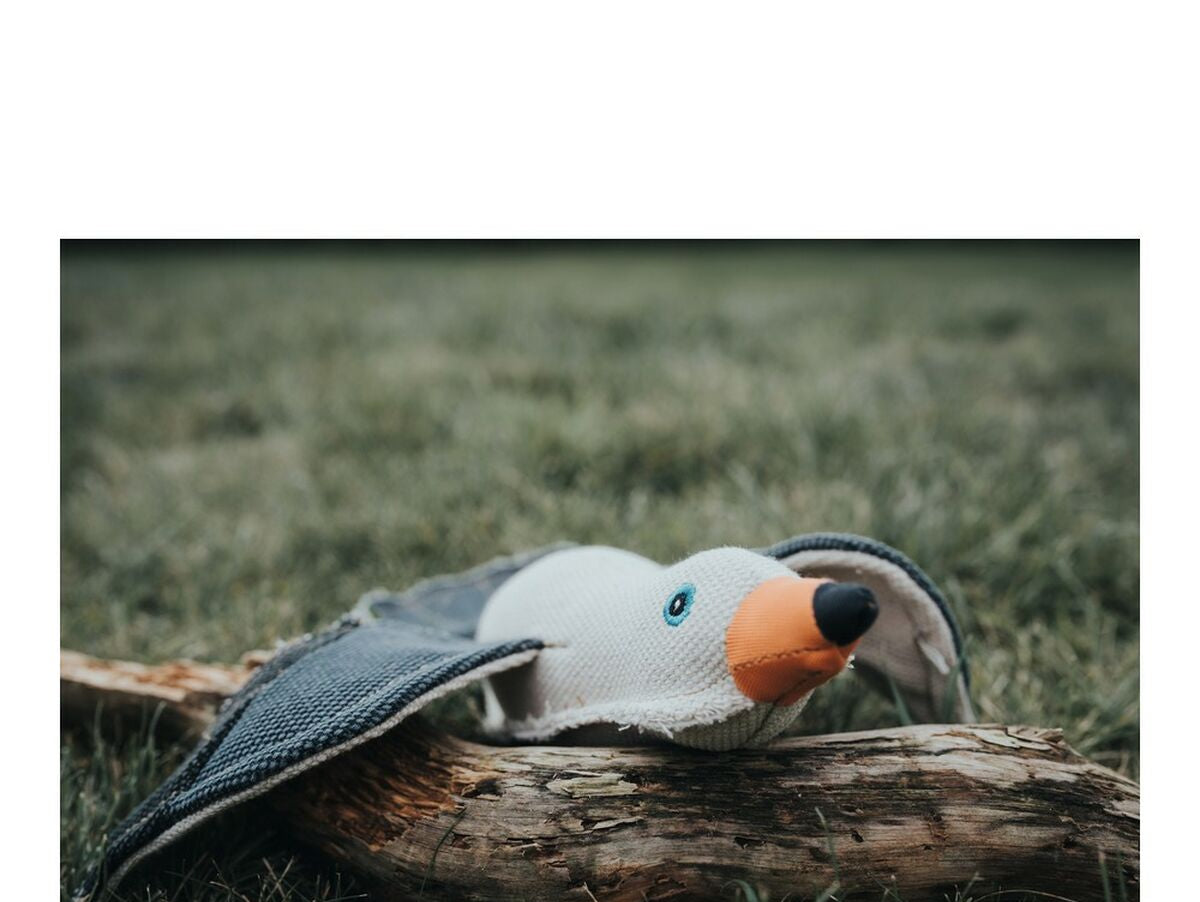 V13H59A98FA6CB789FAB75F3A6C821074D50R5568173P2