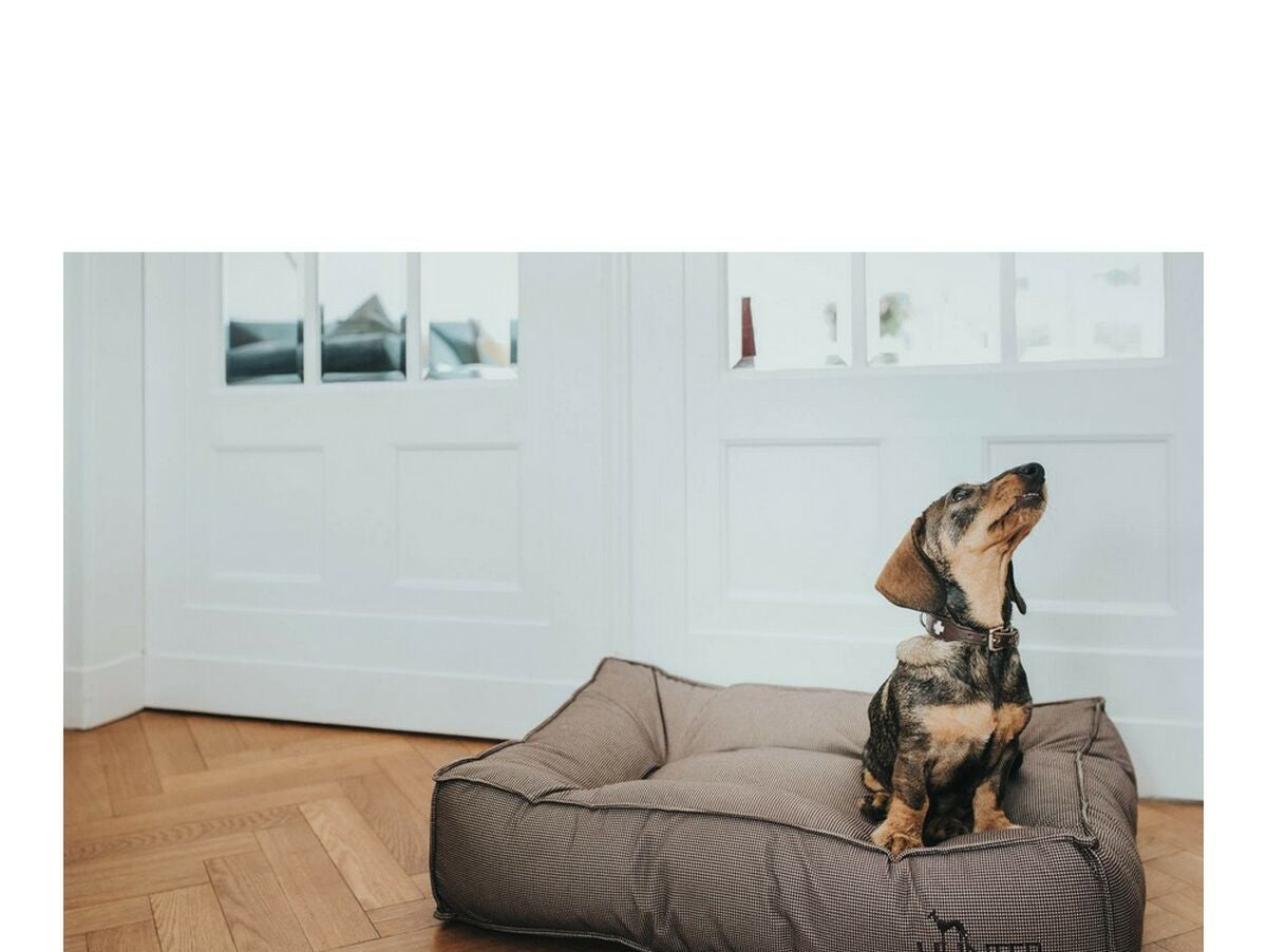 V12H5AE8A37E99704F0751CBDAB8C7D1335ER3618586P3