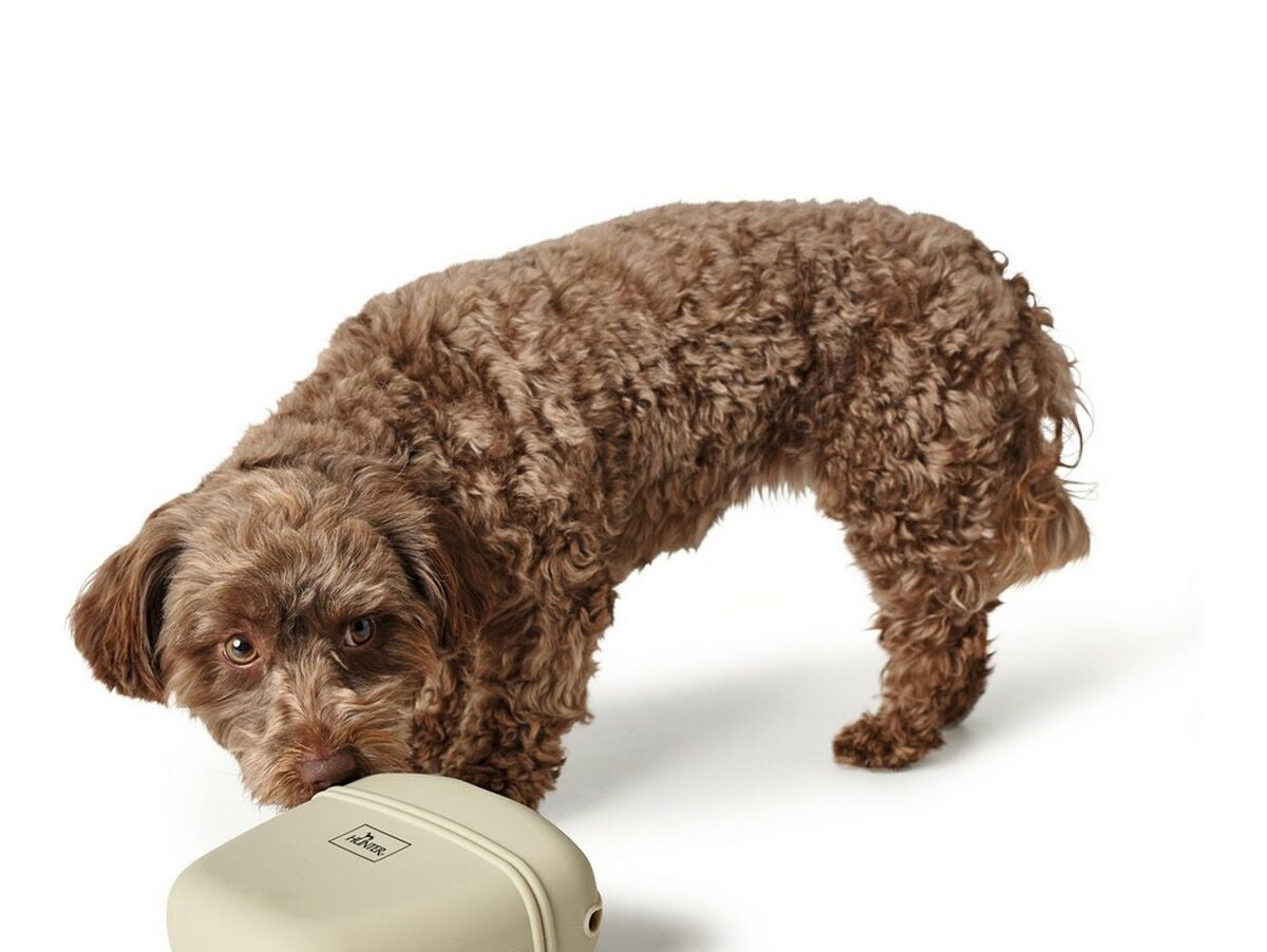 V11H9B2372A6601D60D6D63853F31A559EB5R5597718P3