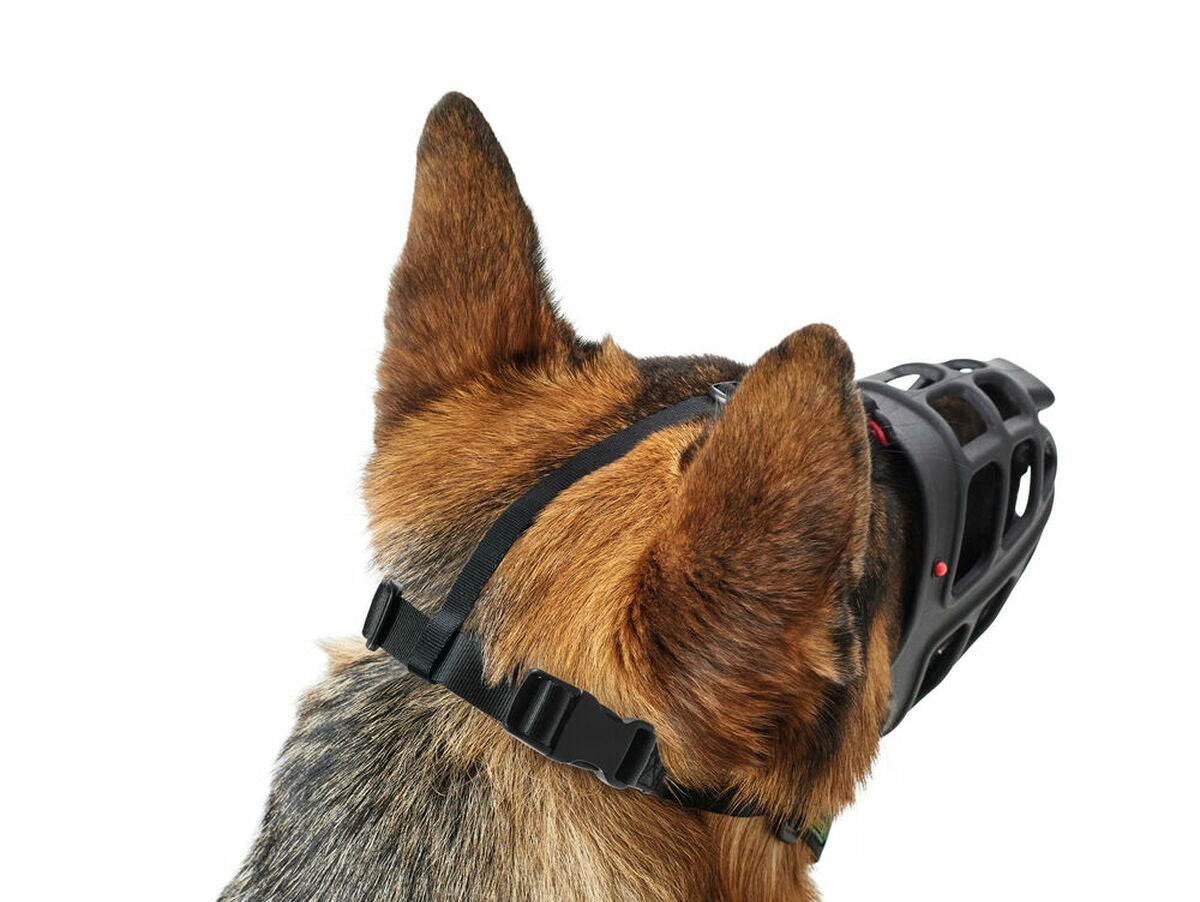 V10H03B08EBDA6251510DB19AD0431328153R5597934P7