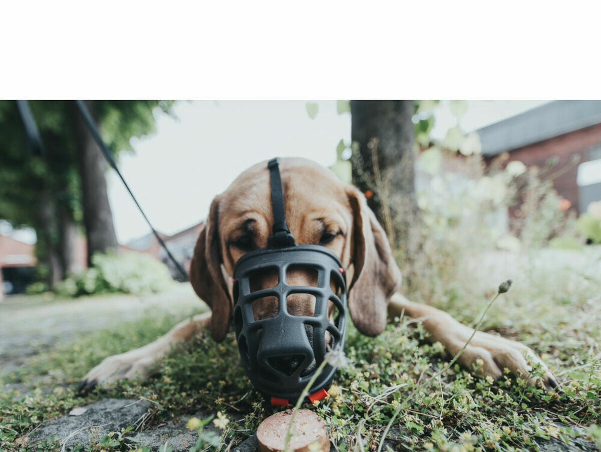 V10HD6ED2A24E27E91DE6A7551B111713AD1R4989128P2