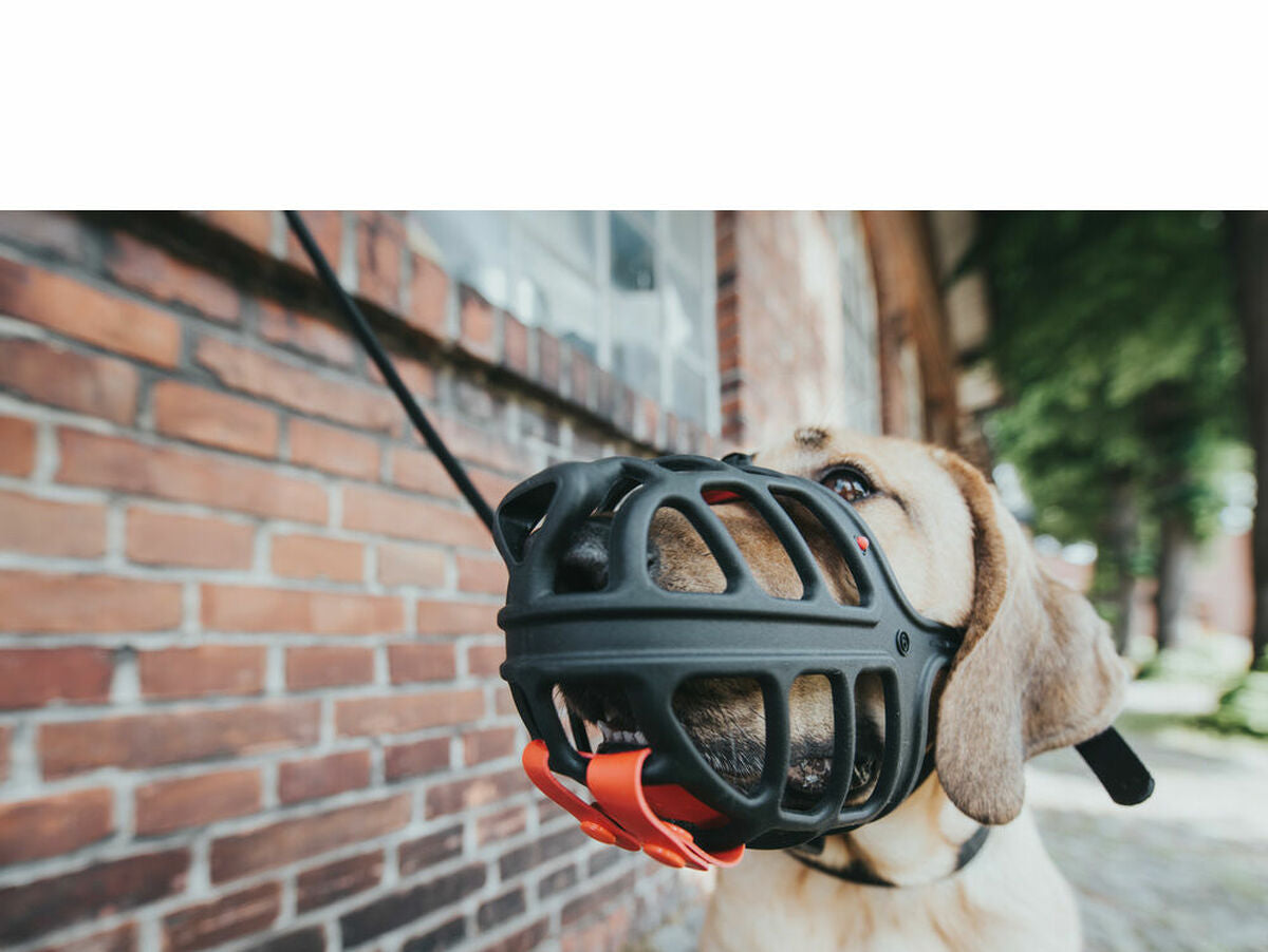 V10HE43EF6EE9C33933B4D1716E112A7F166R4989129P3