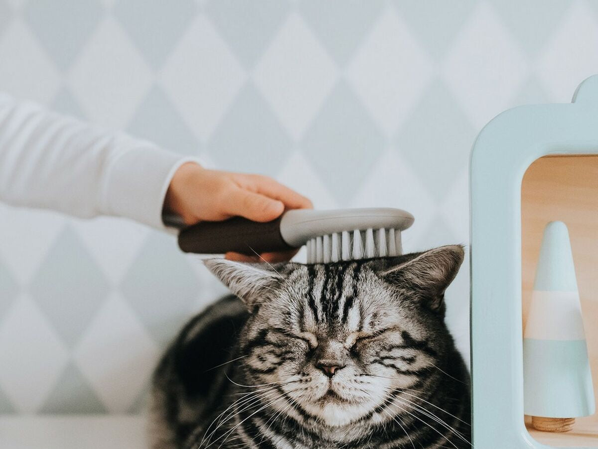 V11H66E6C00C3C3A56D39CEB2481D184AC19R4267965P3