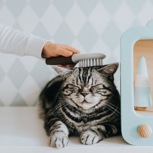 V11H66E6C00C3C3A56D39CEB2481D184AC19R4267965P3