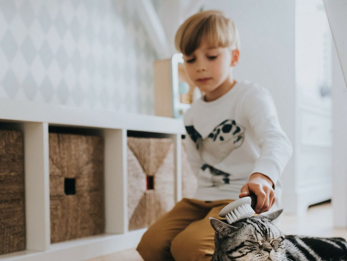 V11H5E351B2379125EC1C6BF8FDAE23666E3R4267966P4