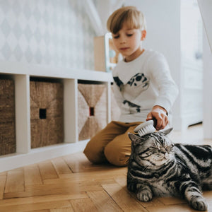 V11H5E351B2379125EC1C6BF8FDAE23666E3R4267966P4