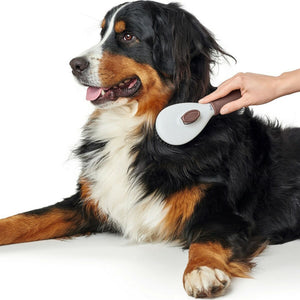 V9HDC1E4F4F9475A1652A878A81C7F37160R4014051P4