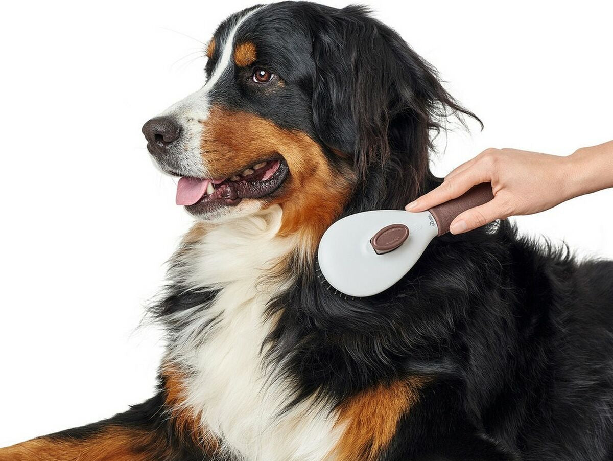 V11HDC1E4F4F9475A1652A878A81C7F37160R4014051P4