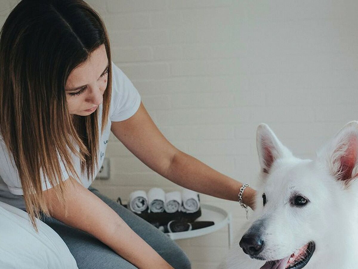 V11H68EAF44D3685C05FBCA0DC267522269ER3618607P2