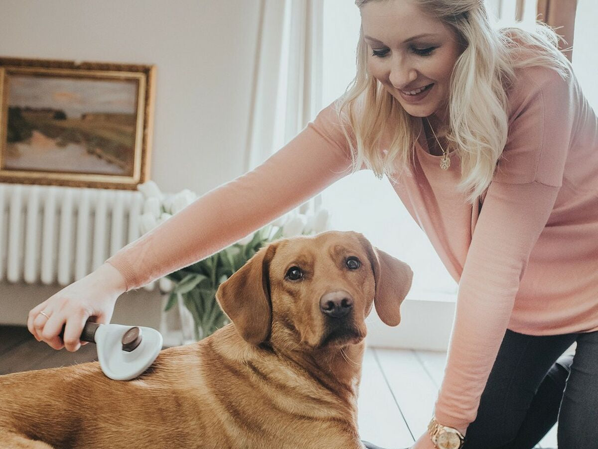 V10H34BB14197D33D0853DBFC0A6CDE9CE4CR3618718P5