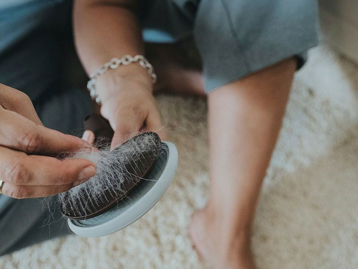 V10HDD90B5293B4F21D55C4BD2286FDCFD34R3618721P8