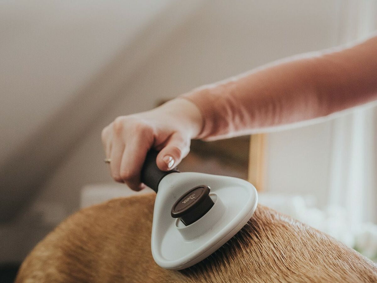 V12H8DE0153E393A5F5C503740885FF5AD17R3618428P4