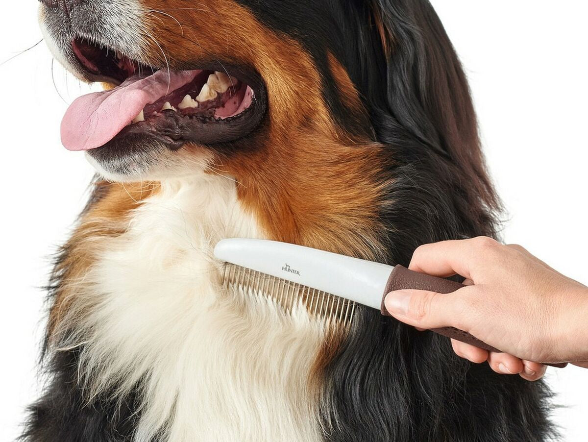 V11H894988CD0BFC3D4771E26819131C23F0R5597839P2