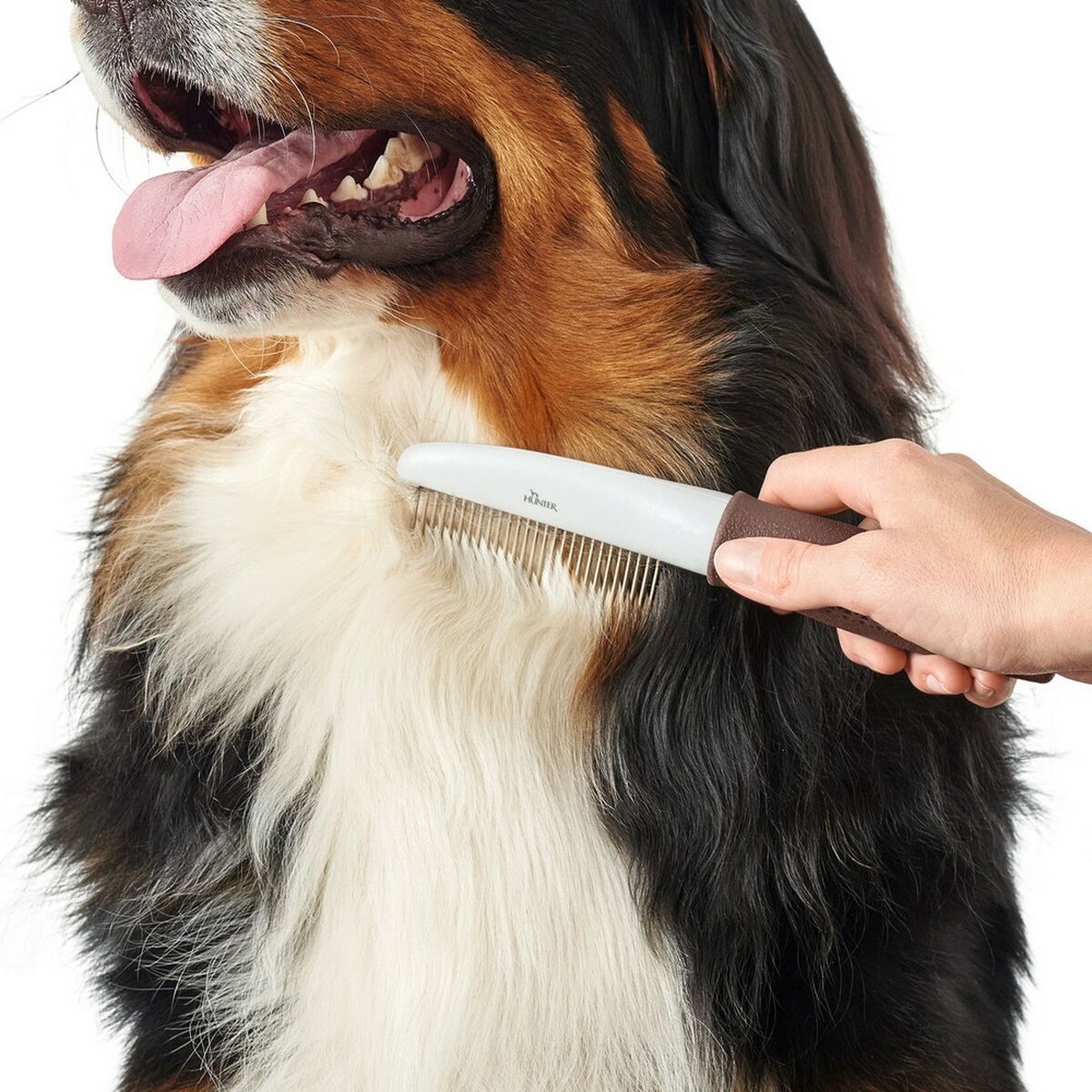 V9H894988CD0BFC3D4771E26819131C23F0R5597839P2