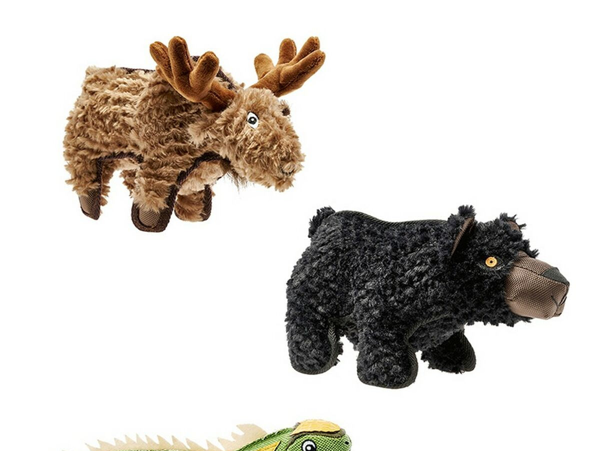 V13H933F2D7209FC8133EE86F2D197D40F9FR5568080P1