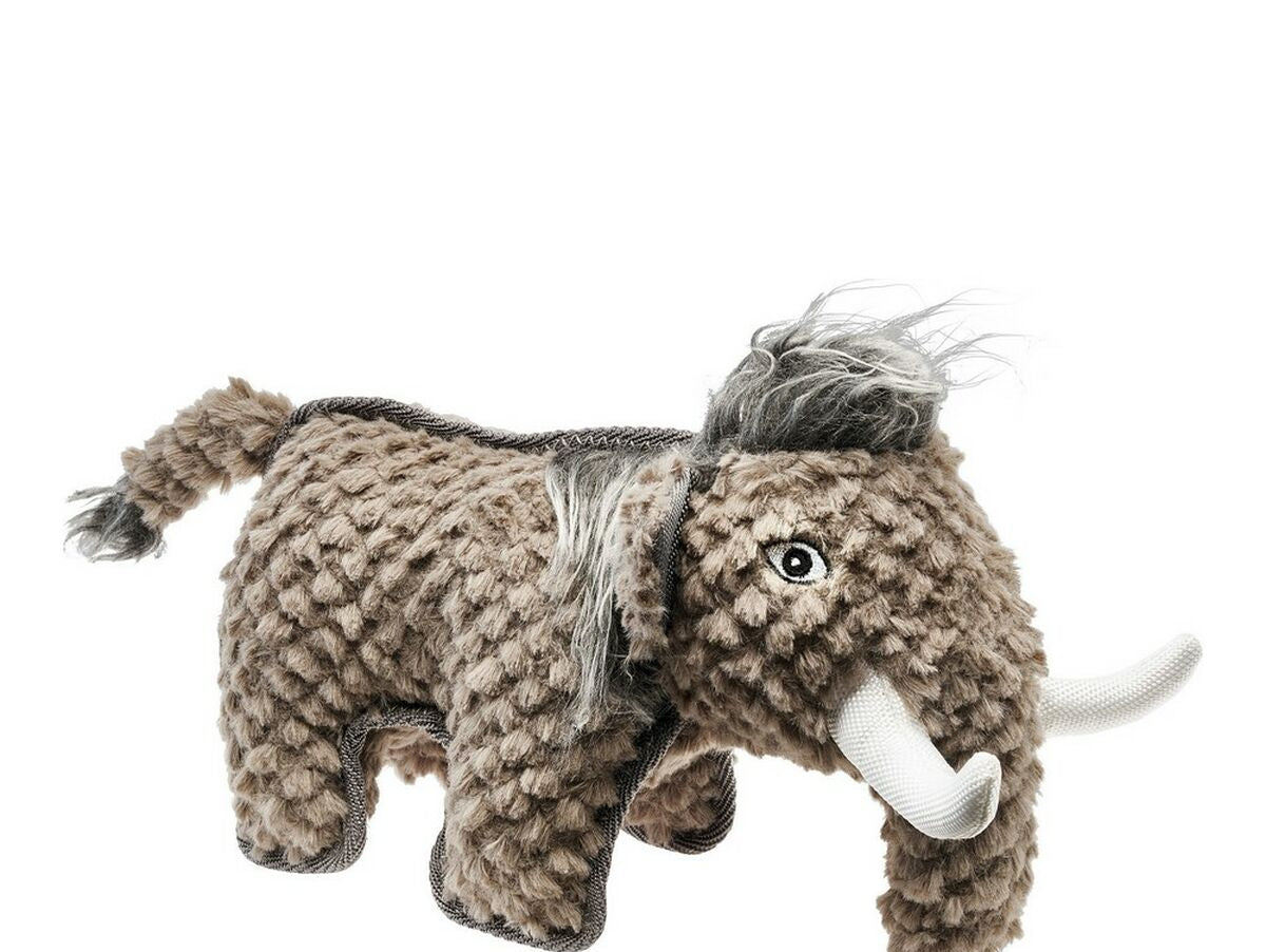 V12HA6A905475ECAD32A0427A519CB1C87A7R5568053P1