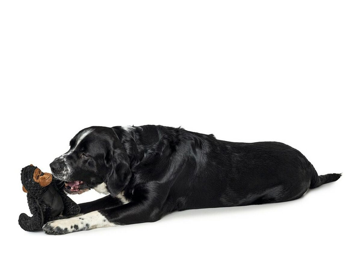 V12H92A67DF5A2E433F2809D245D7A423044R5568061P2