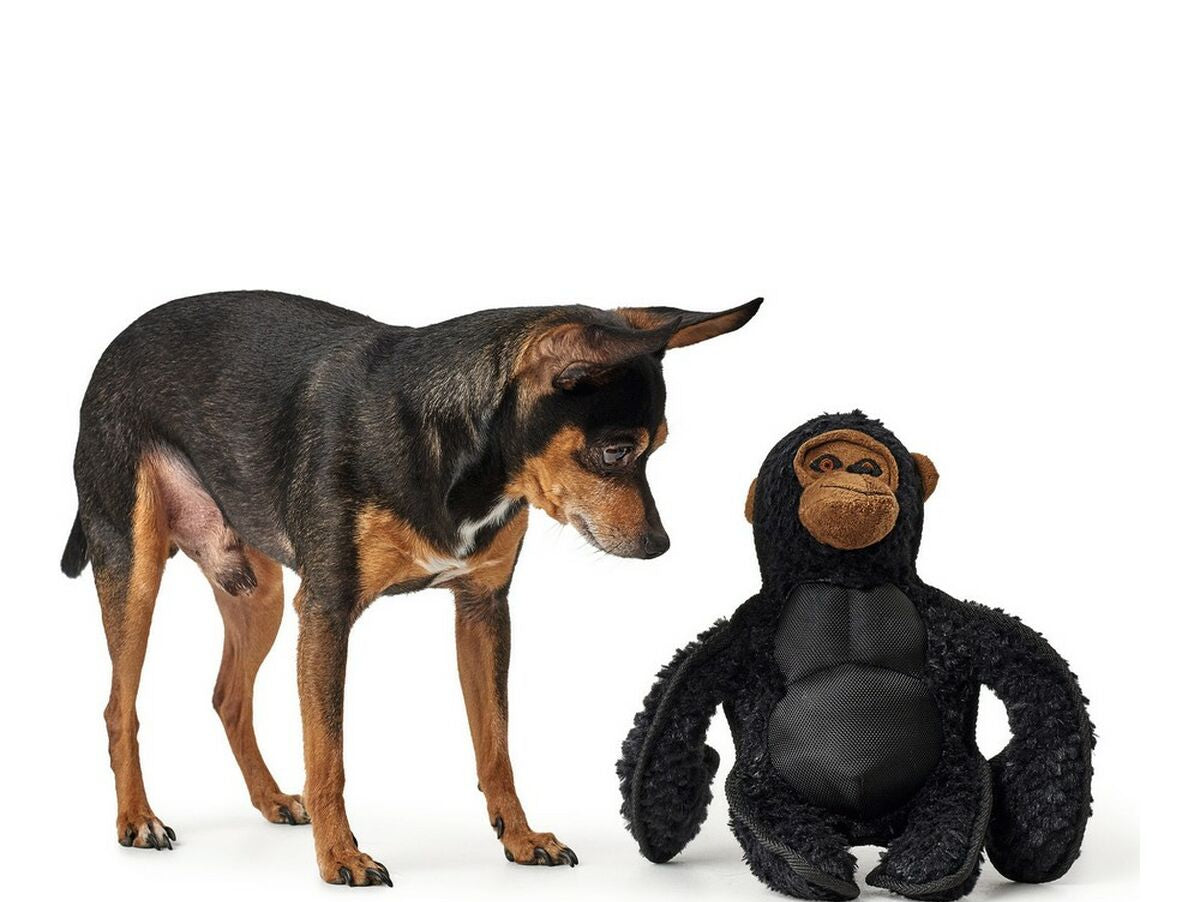 V12H75433FB4D93B61794DD6B23CF2DFDA60R5568062P3