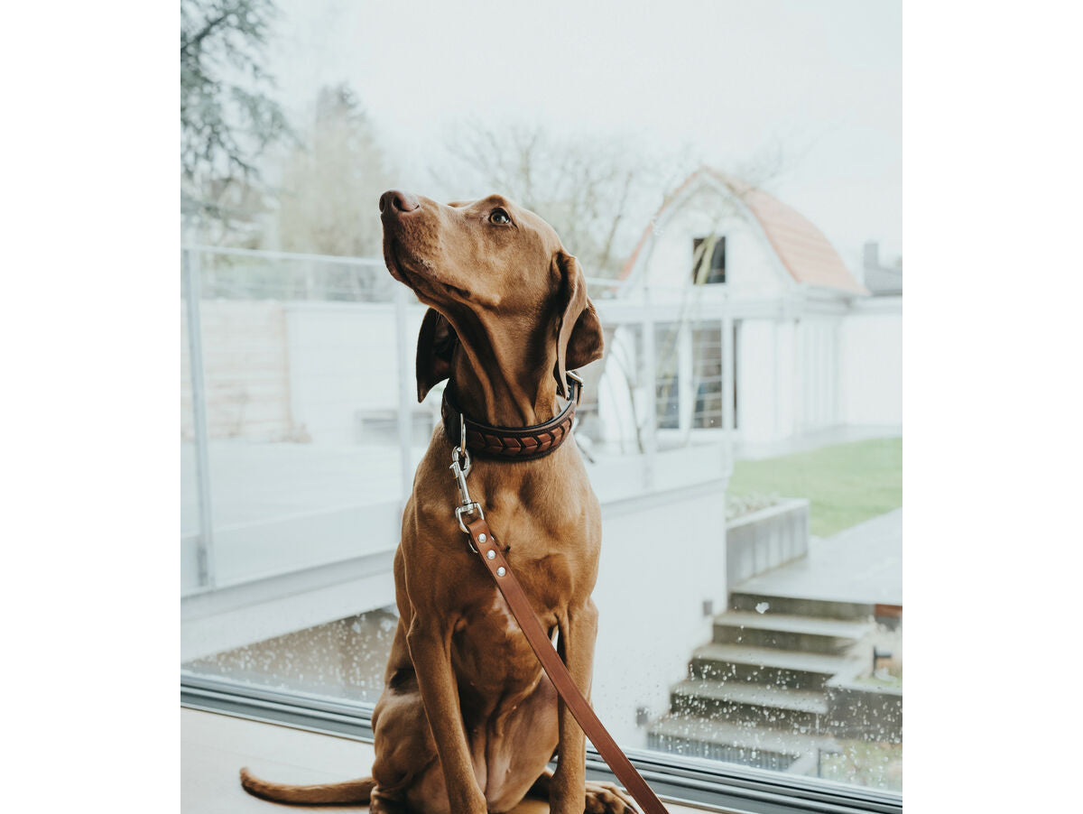 V4HFCDF2AD65CE6E7D7D542C1835CDD7EF3R7439474P3