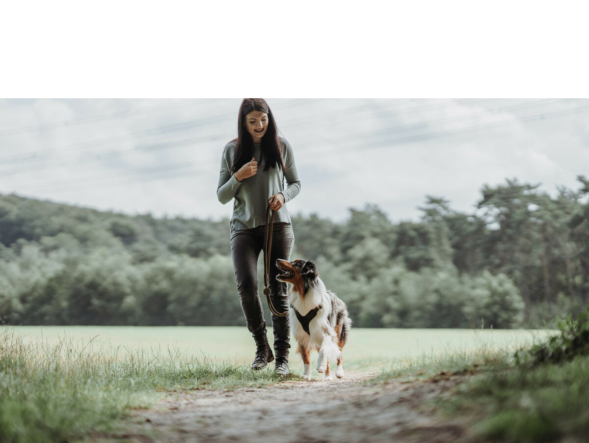 V6HD1689BF7BCC703FA01C2655DE0A13CDDR4393776P4