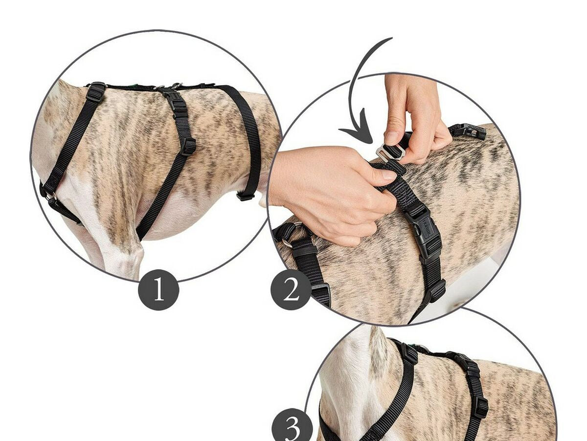 V8HBDCC0755410674496E3BB030B4AF1F2FR4989175P1