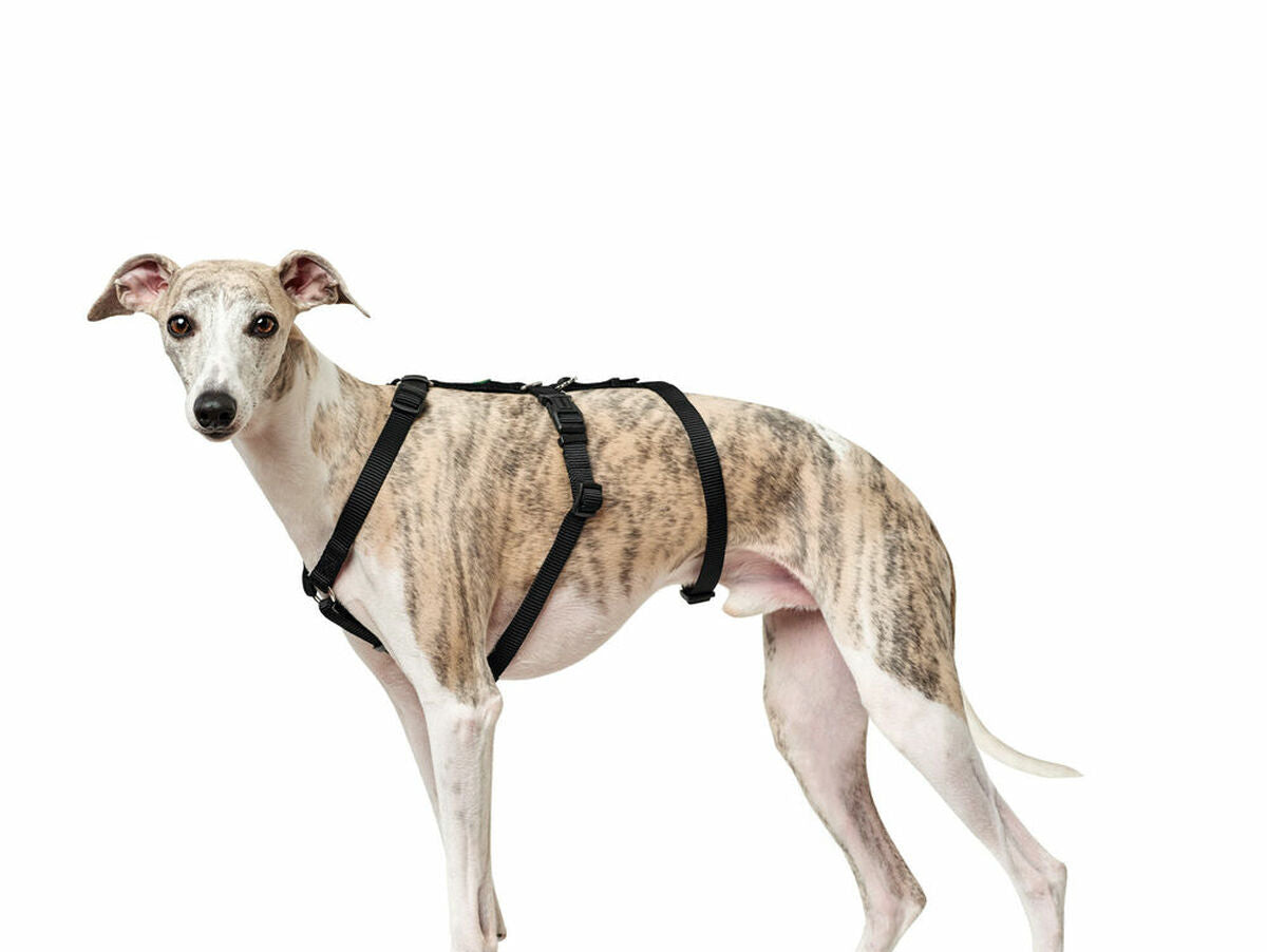 V10H06786F711A3D41D6C8C090C0DC984695R4804817P3