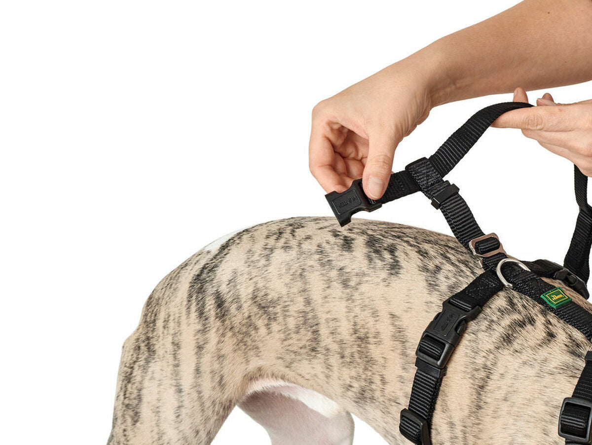 V10HB5F97F8281BCEA12A0D53410AE19DE9AR4804819P5