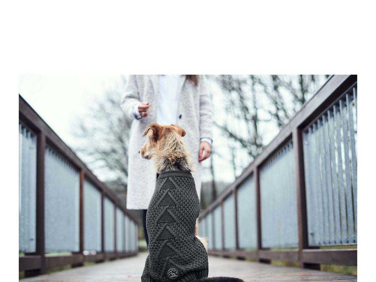 V12H60C3669B42CA6C21C3BCC451ED714D4FR4014190P4