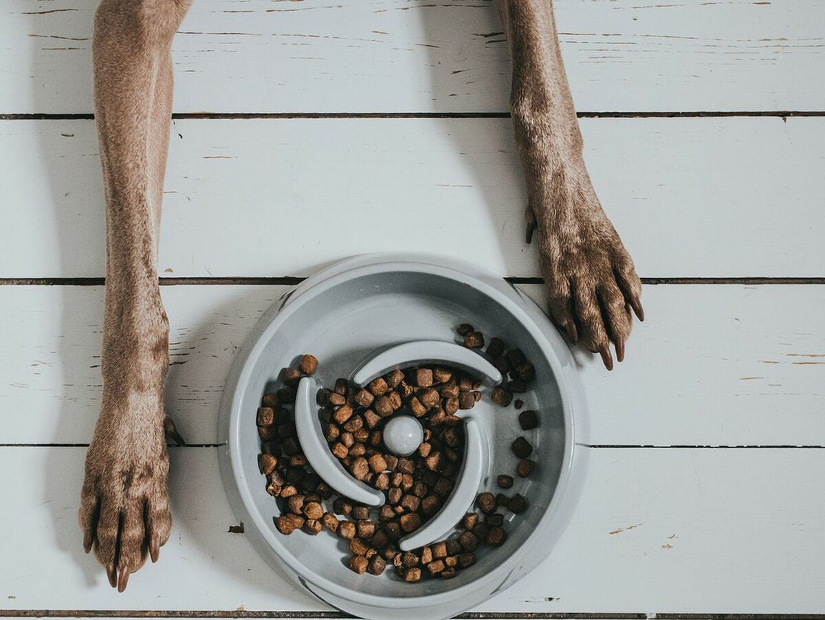 V13HFB6251914F926C9F193A188471667CBER6577493P2