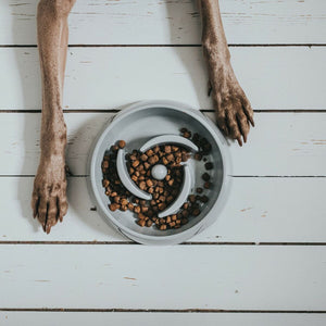 V13HFB6251914F926C9F193A188471667CBER6577493P2