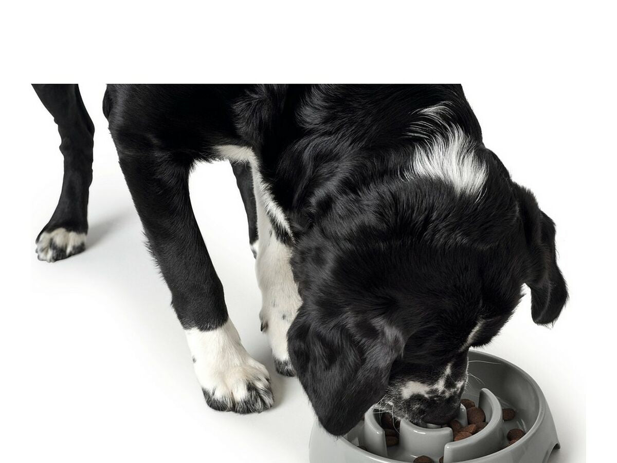 V13H6A741C411C8D9FFBF04A448550BAC873R6577495P3