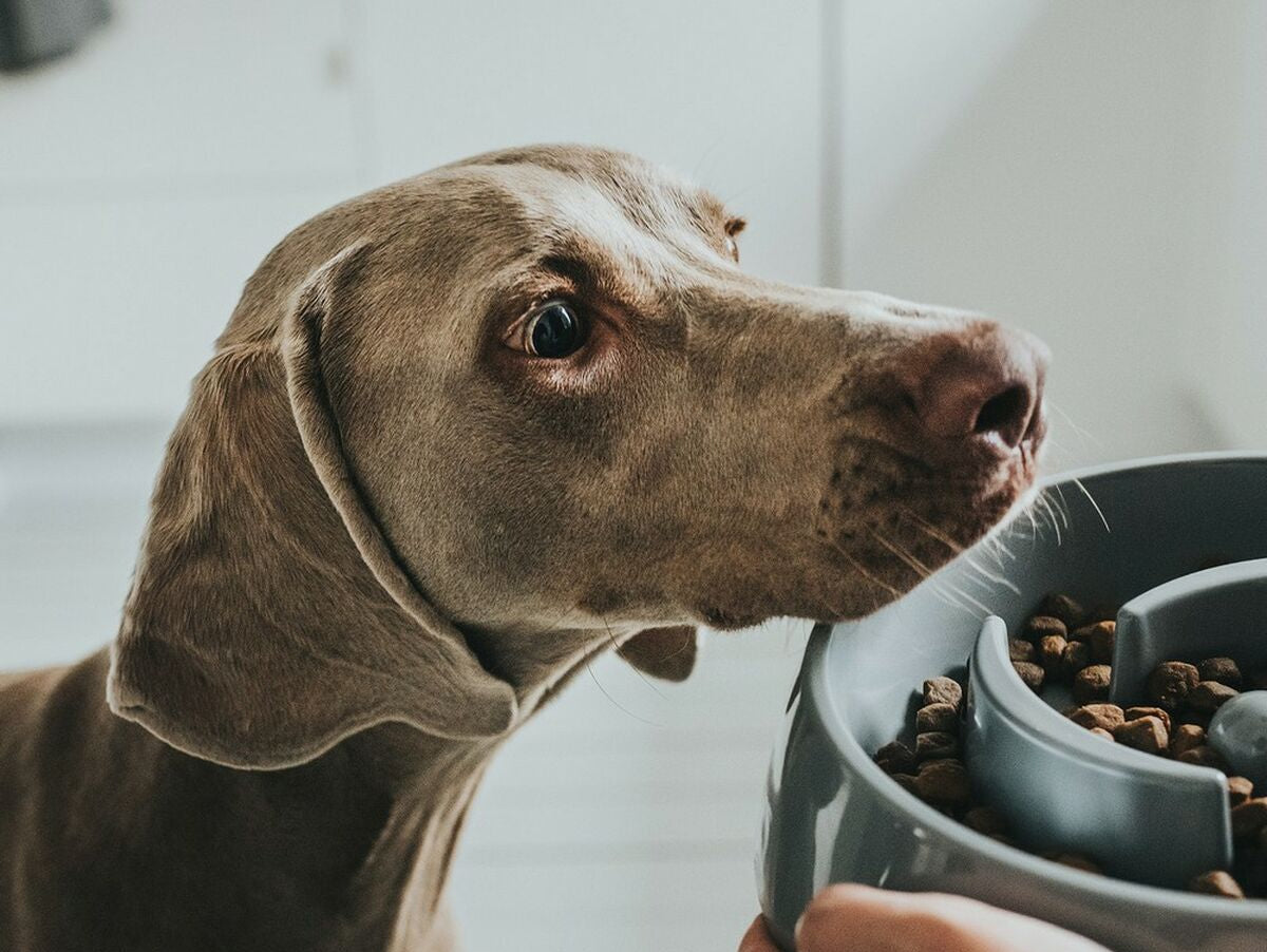 V13HD58030D77393EF7CD52992C1477B101ER6577498P4