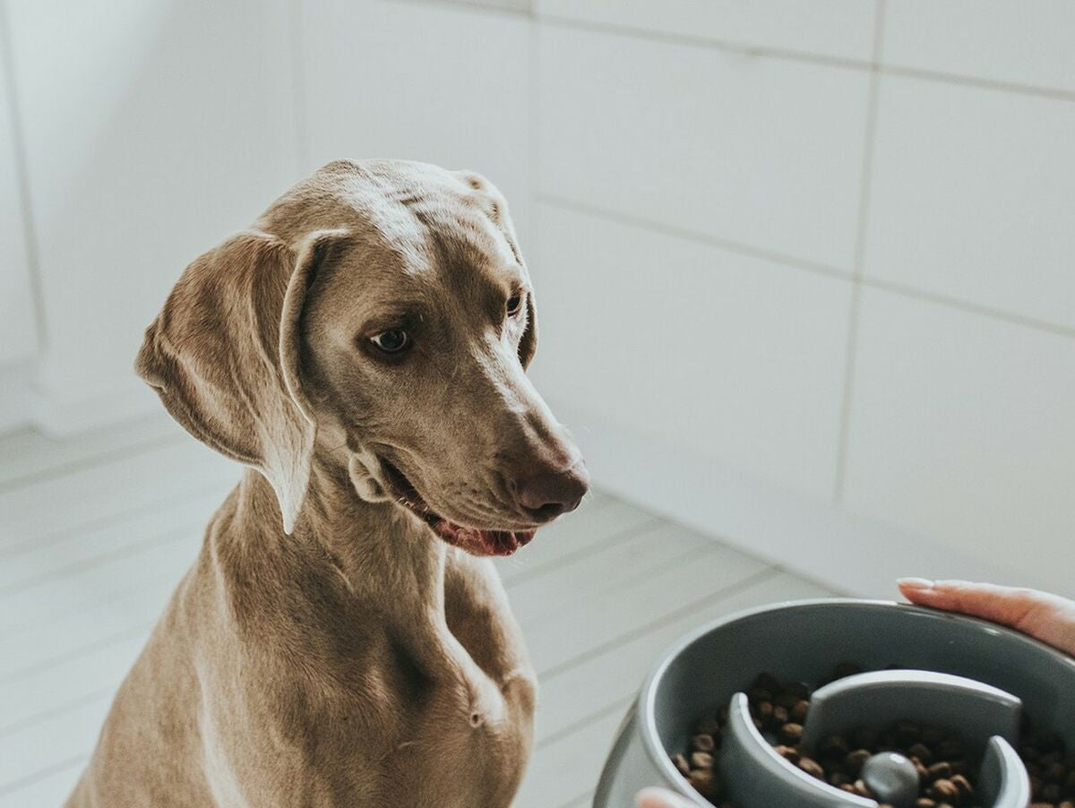 V14H104AAE4A07E1B9962AF17A940435CBCFR6574161P5