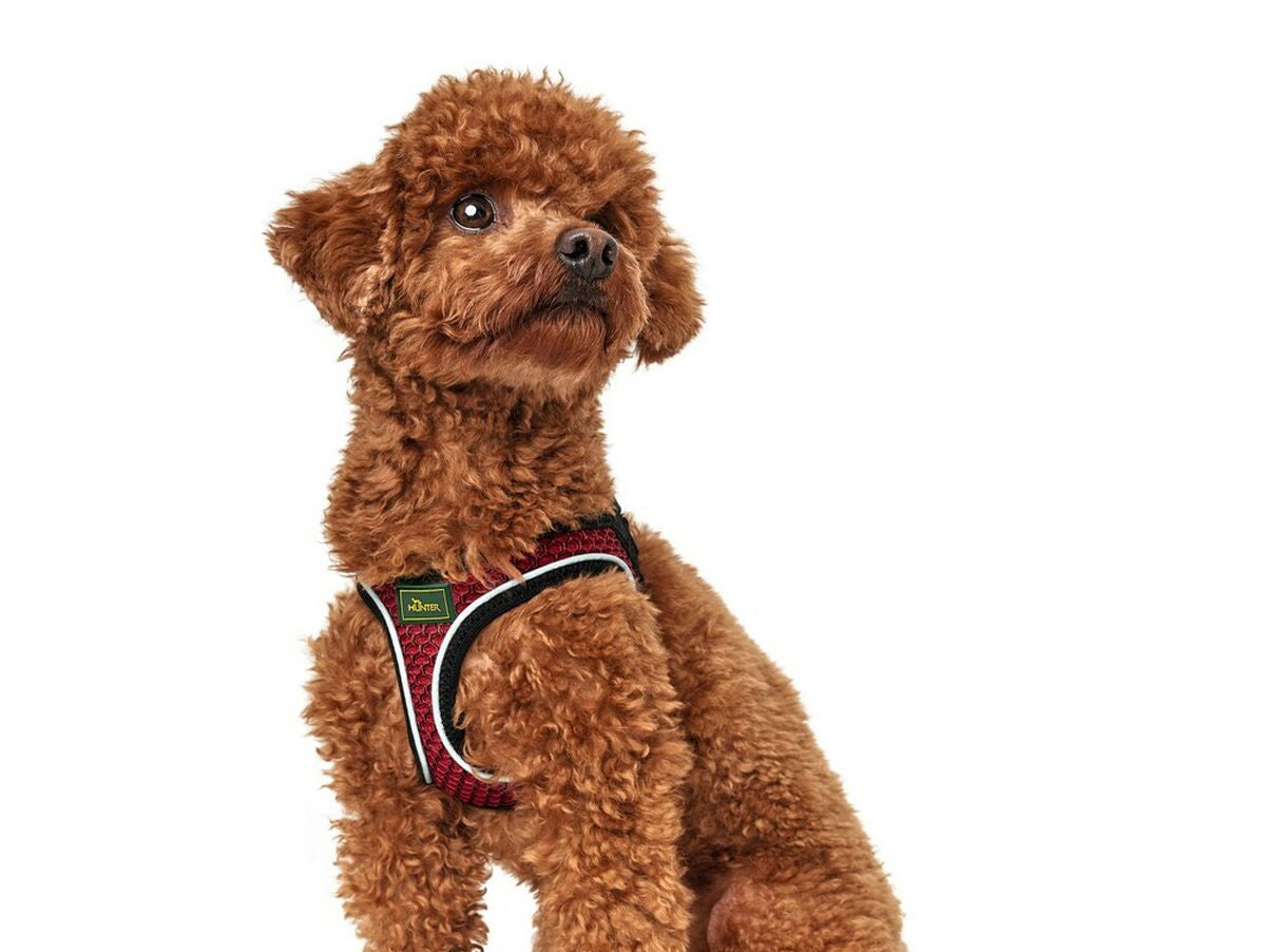 V11HD0DB7283625E2C0C28B94A122924512ER3618363P2