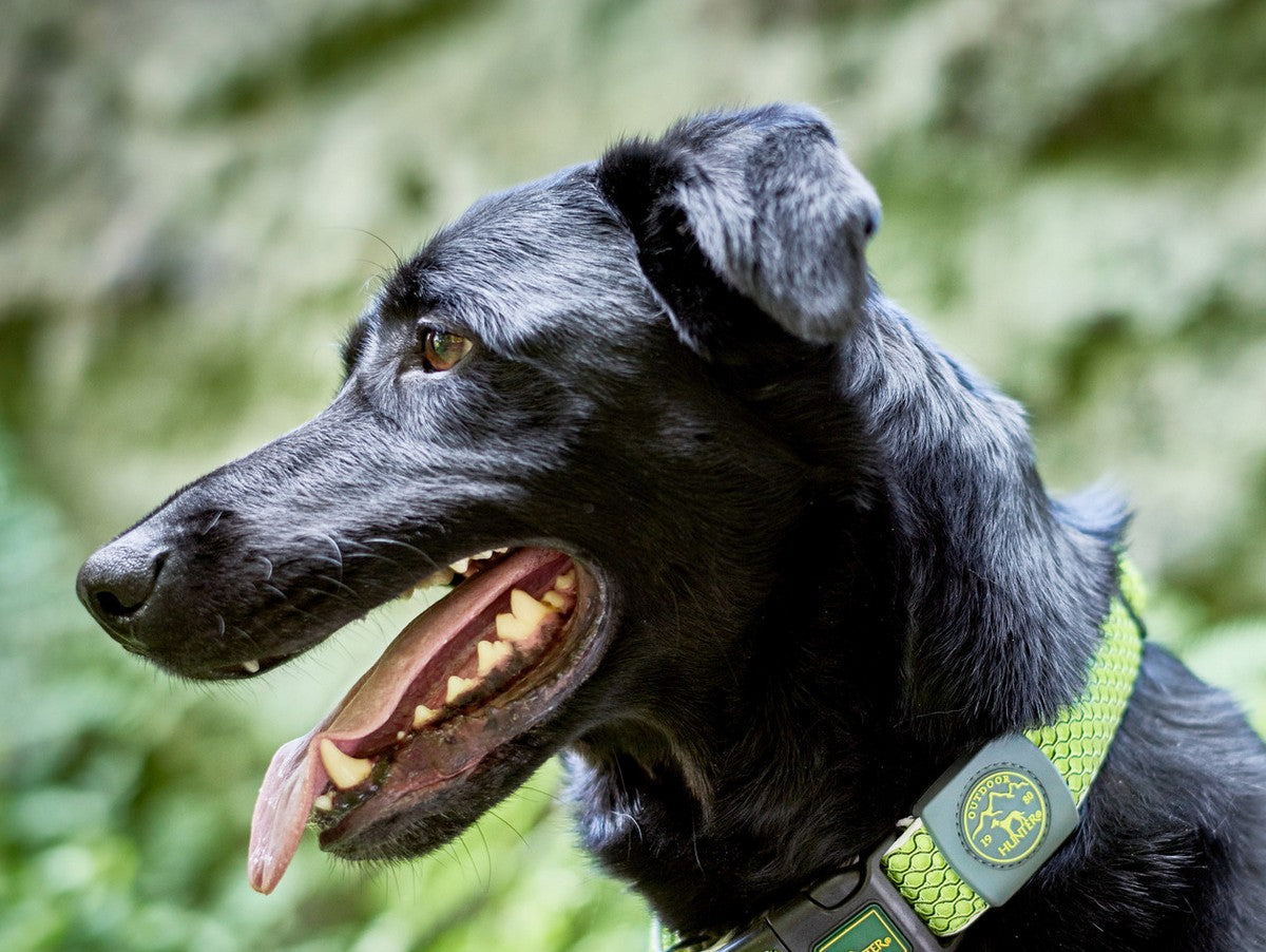 V11HB4978FDC9090BD154E4978471E0AB230R3943620P3