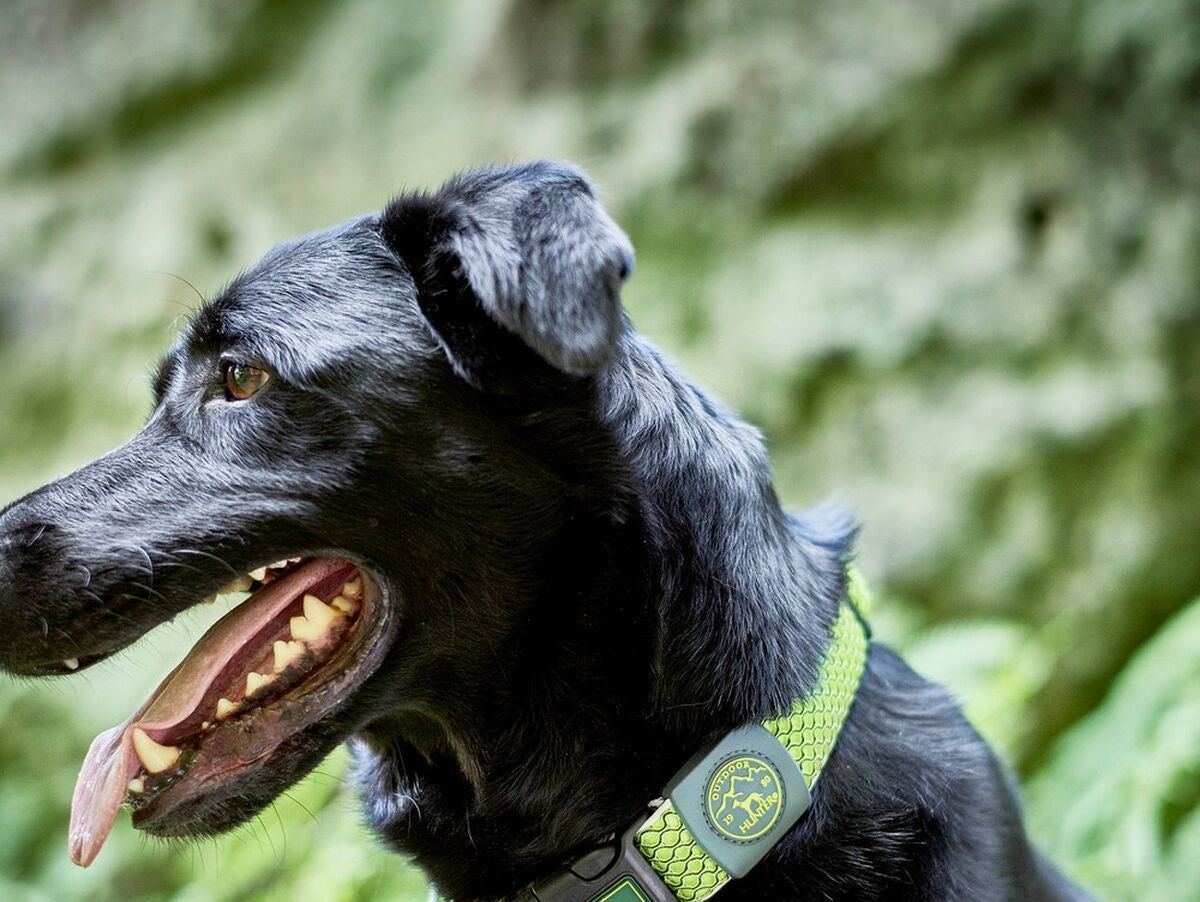 V12H01A3C31008B8B67570725124D66C31DDR3618376P4