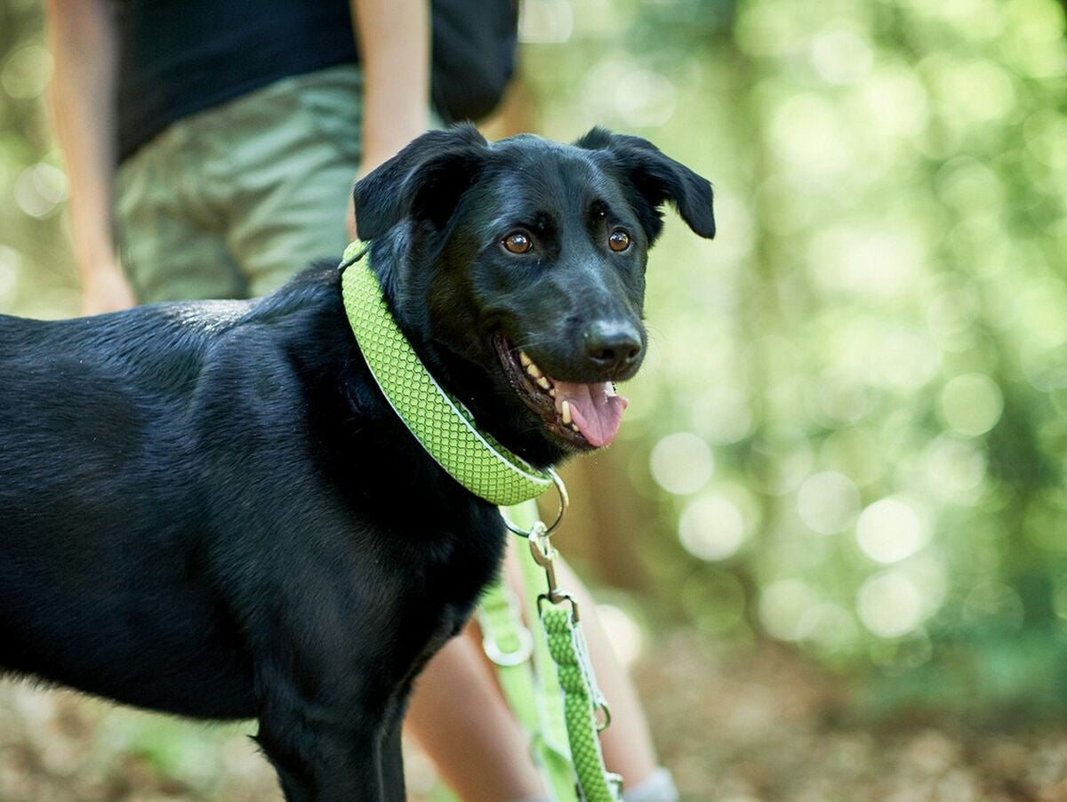 V12H70689DF30CCAE8C4B601B7D1A950CD5BR3618377P3