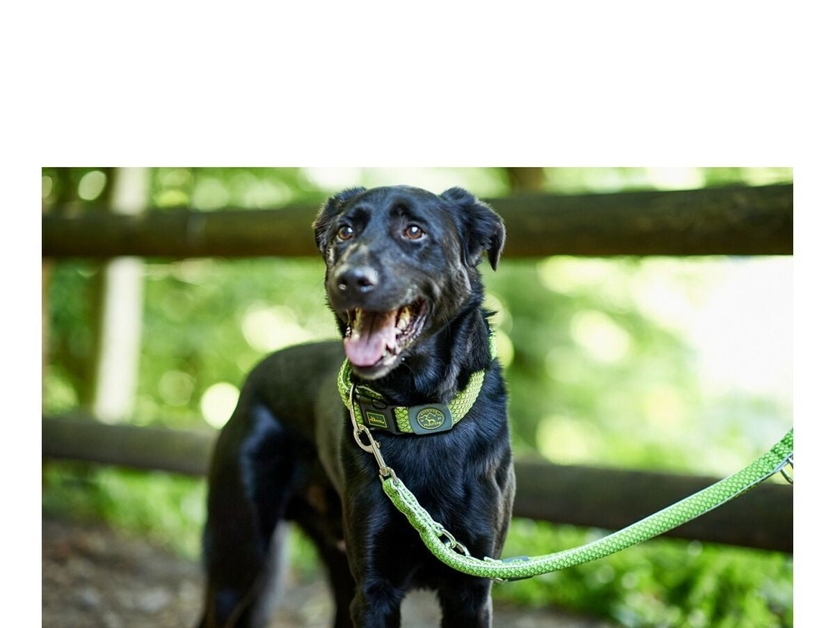 V10H49825B1A926074BE2591115AD89153A6R2353294P4