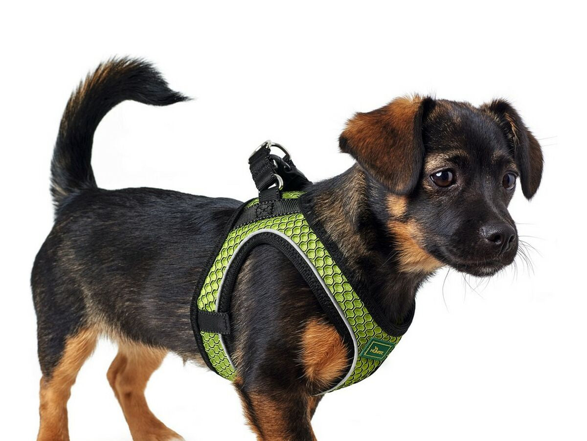 V10H8EB9320036A03006EBD838932EC1BDF1R3944246P2