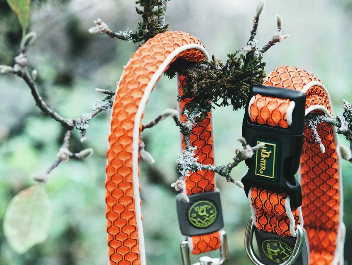 V10H80DF390013A66AF7E74526E62691A6ABR1650587P3